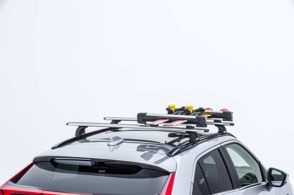 КРІПЛЕННЯ ДЛЯ ПЕРЕВЕЗЕННЯ ЛИЖ/СНОУБОРДІВ